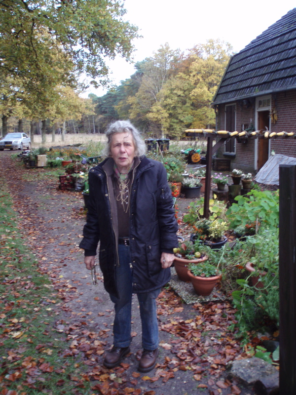 de appels vielen net van de boom