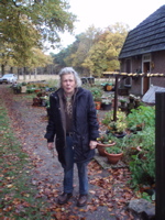de appels vielen net van de boom