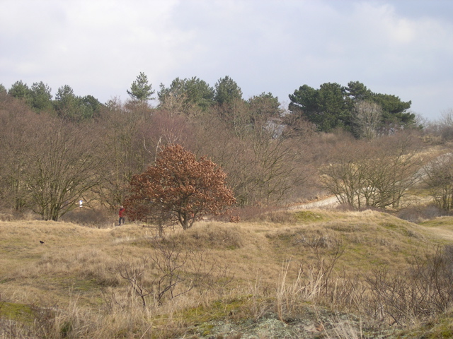 P3130232.JPG