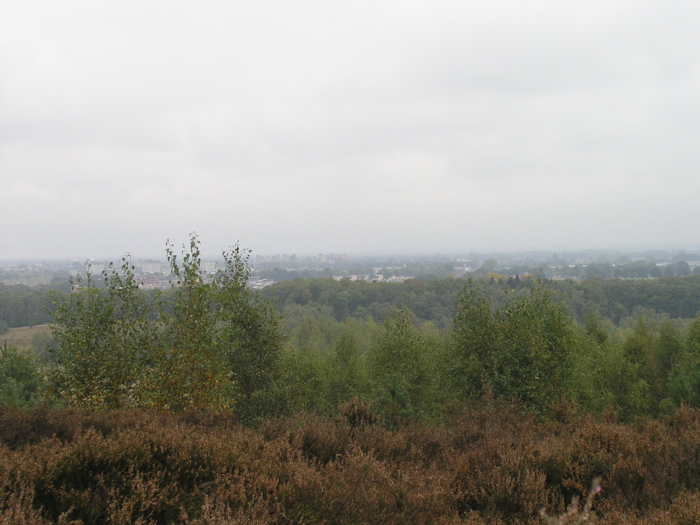 PA090135.JPG