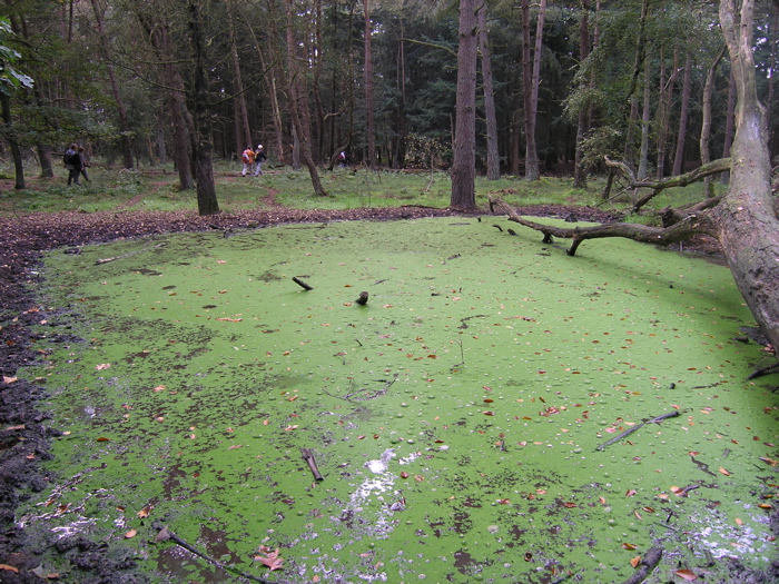 PA090136.JPG
