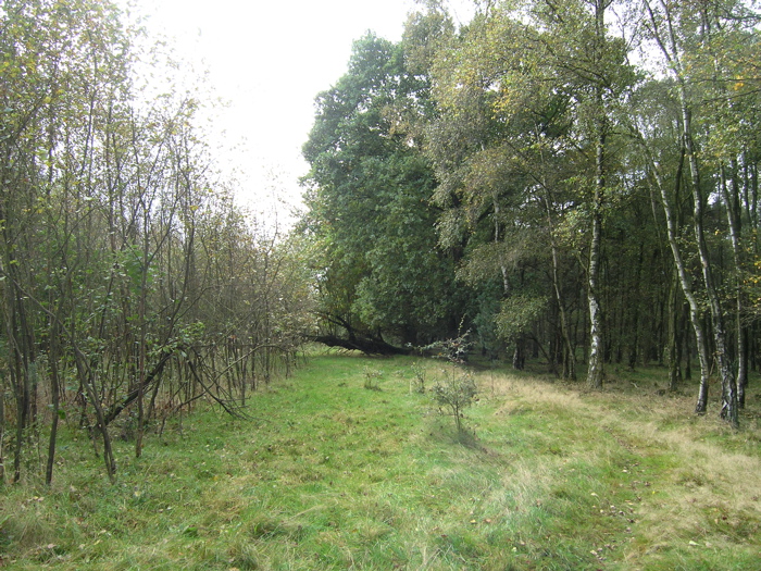 PA090137.JPG
