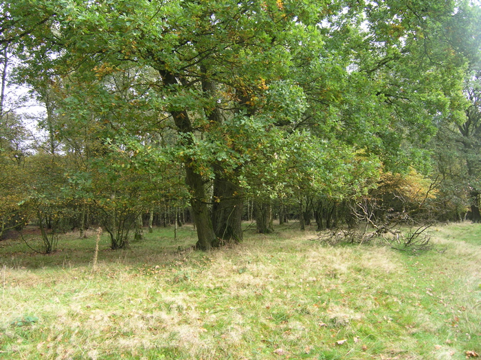 PA090138.JPG