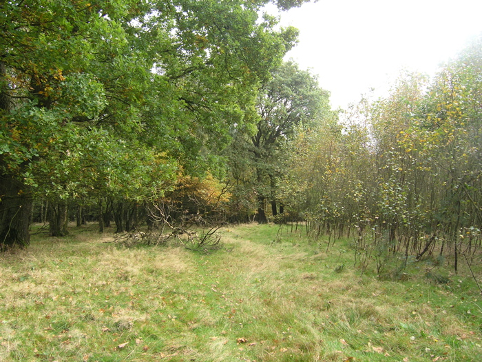 PA090139.JPG