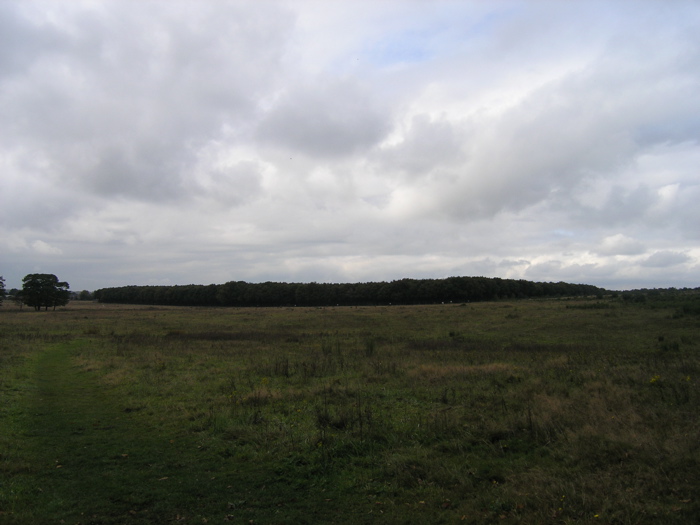 PA090145.JPG
