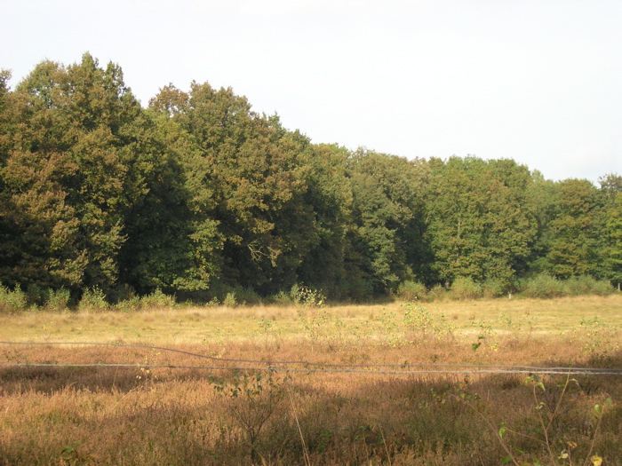 PA090152.JPG