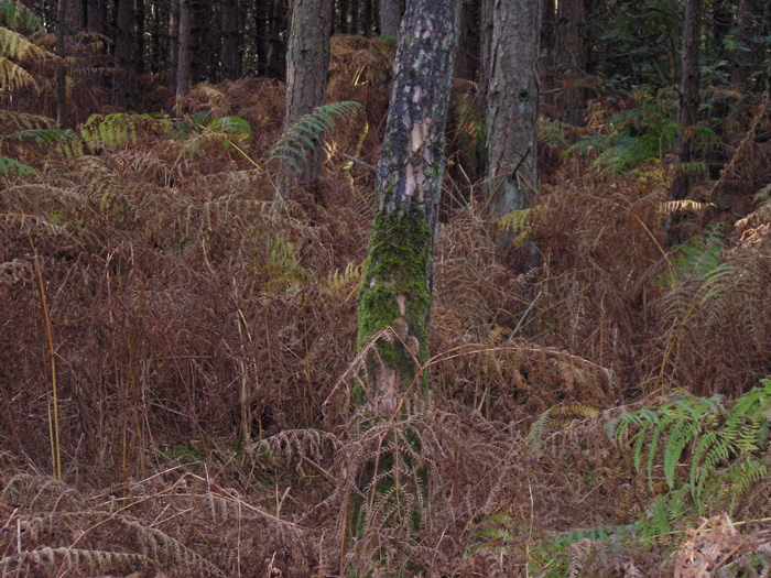 PA090153.JPG