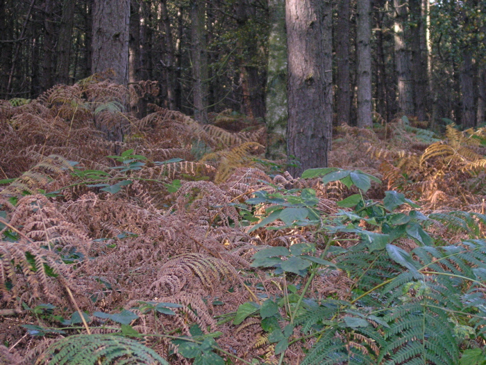 PA090154.JPG