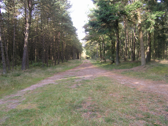 PA090157.JPG
