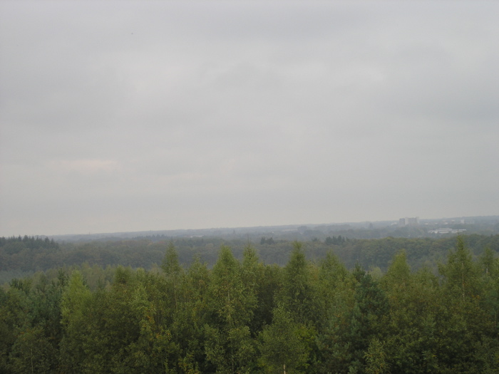 PA090124.JPG