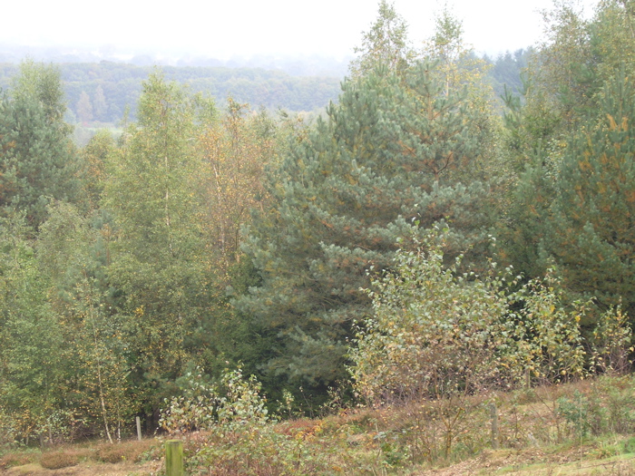 PA090126.JPG