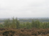 PA090135.JPG