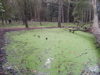 PA090136.JPG