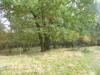 PA090138.JPG