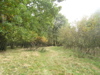 PA090139.JPG