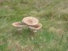 PA090140.JPG