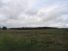 PA090145.JPG