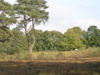 PA090150.JPG
