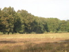PA090152.JPG