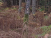 PA090153.JPG