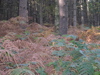 PA090154.JPG