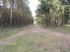 PA090157.JPG