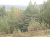 PA090126.JPG