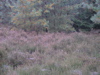 PA090131.JPG