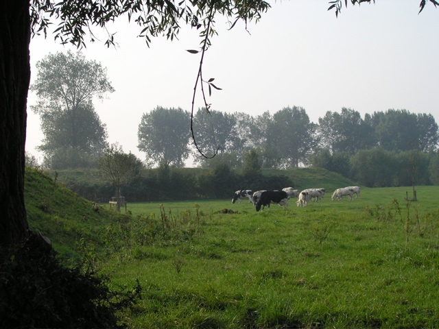 P9160119