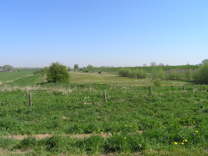 P4150097.JPG