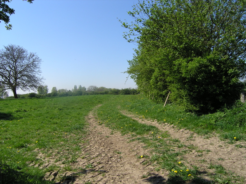 P4150124.JPG