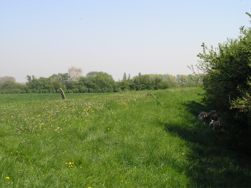 P4150134.JPG