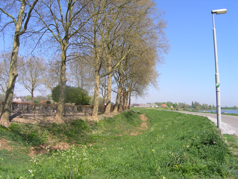 P4150140.JPG