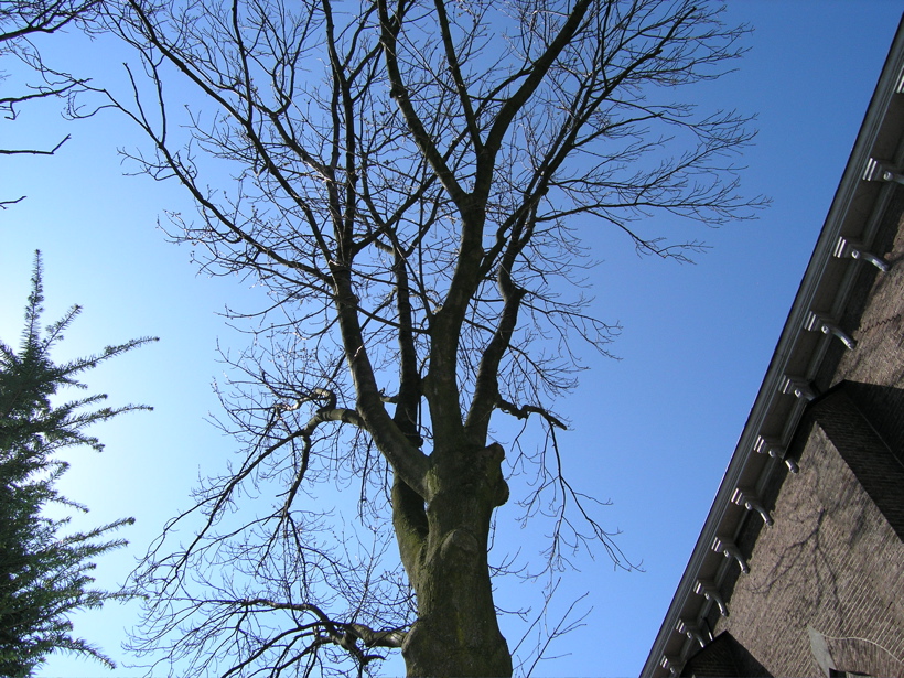 P4150174.JPG