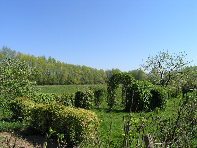P4150111.JPG