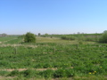 P4150097.JPG