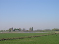 P4150101.JPG