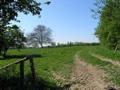 P4150123.JPG