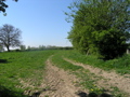 P4150124.JPG