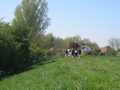 P4150133.JPG