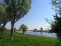 P4150135.JPG