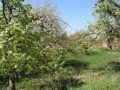 P4150138.JPG