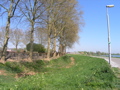 P4150140.JPG
