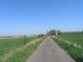 P4150102.JPG