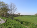 P4150143.JPG