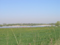 P4150104.JPG