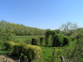 P4150111.JPG