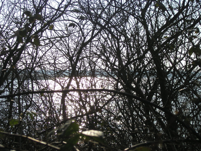 P2060002.JPG
