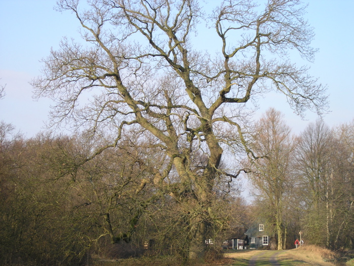 P2060013.JPG