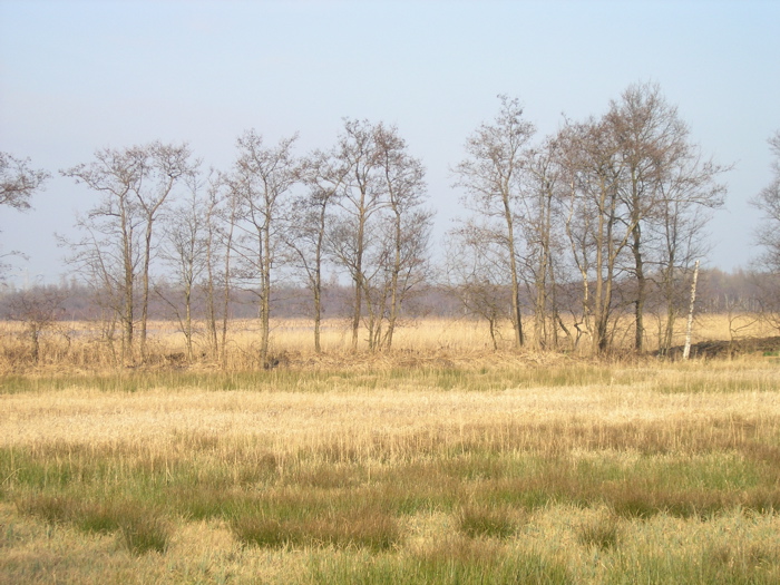 P2060016.JPG